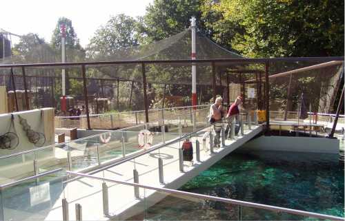 Seehundbecken Tierpark, Bochum